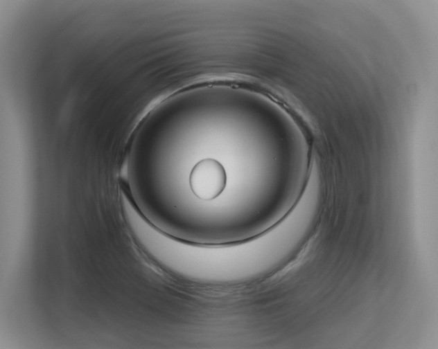 X0000113271369200909101510