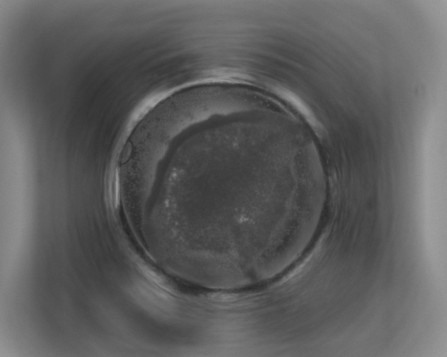 X0000113271371200909101510