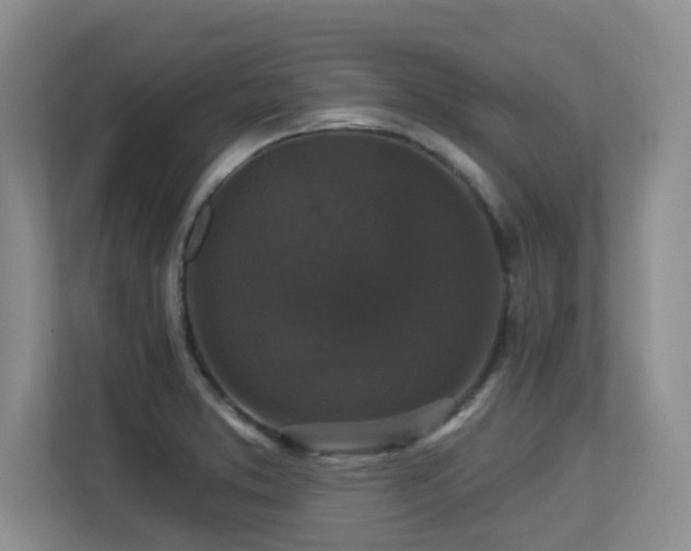 X0000113271373200909101510