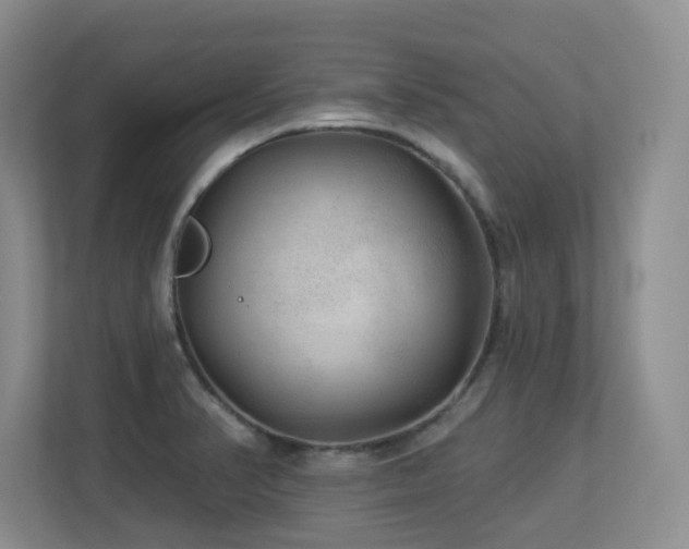 X0000113271374200909101510