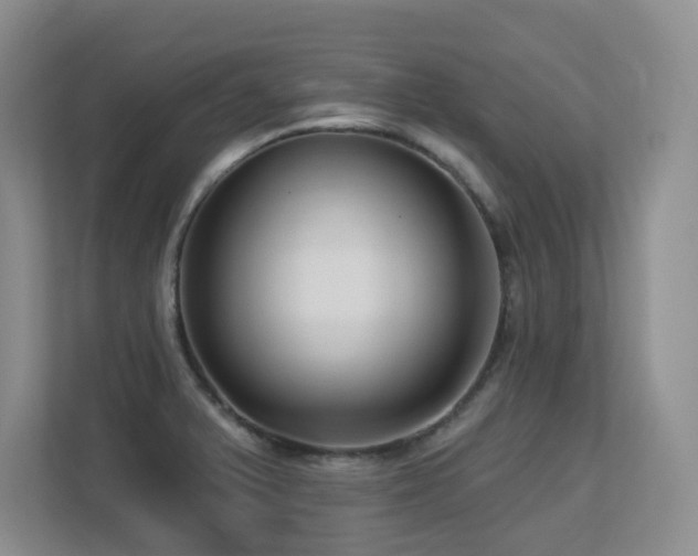 X0000113271375200909101510