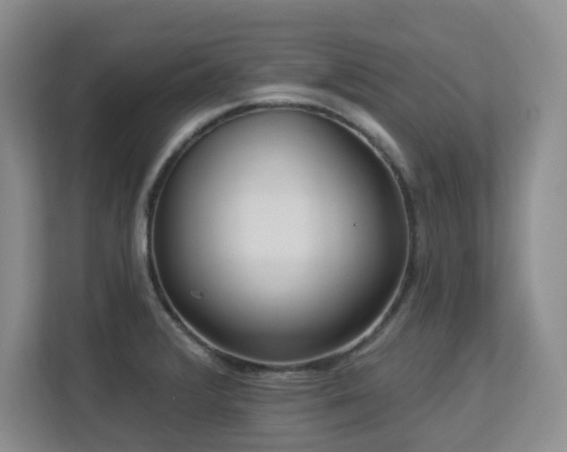X0000113271376200909101510