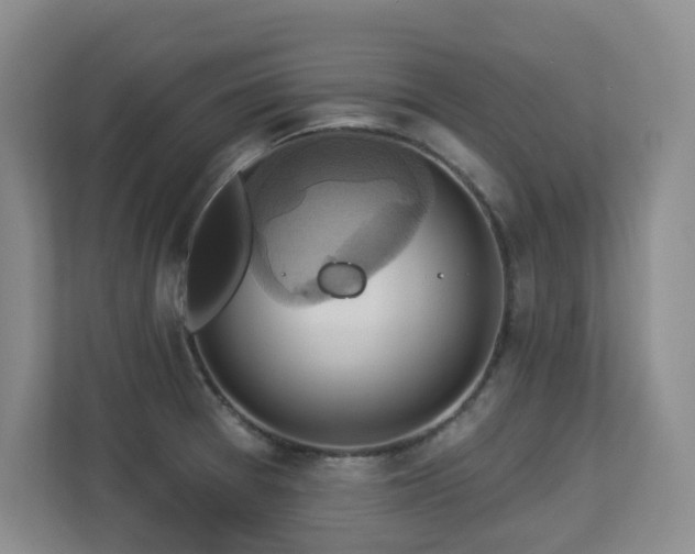 X0000113271377200909101510