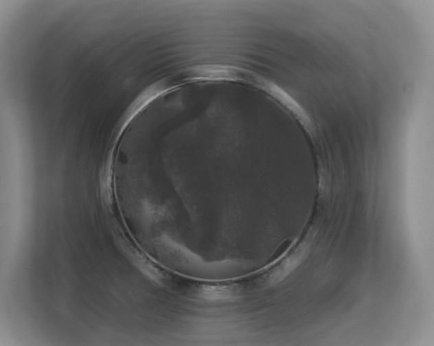 X0000113271378200909101510