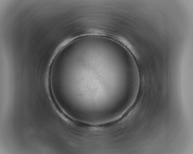 X0000113271379200909101510