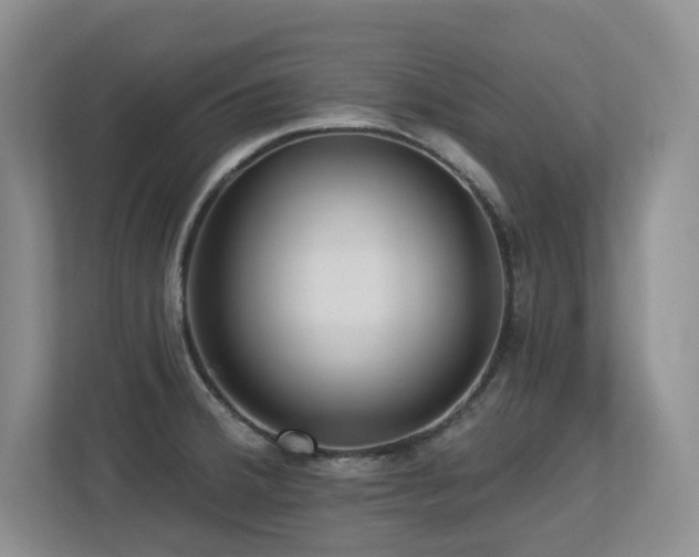 X0000113271380200909101510