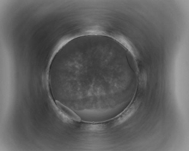 X0000113271381200909101510