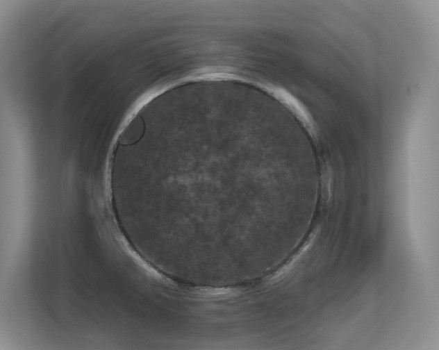 X0000113271382200909101510