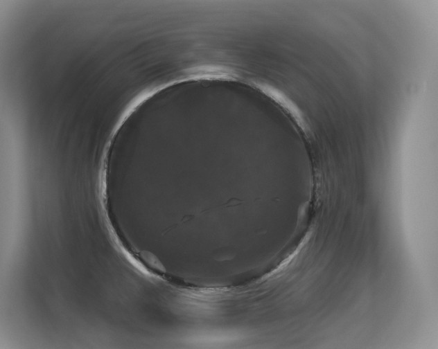 X0000113271383200909101510