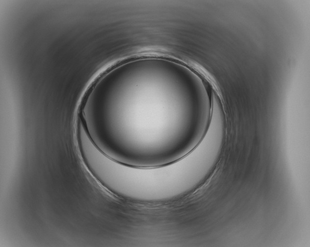 X0000113271384200909101510