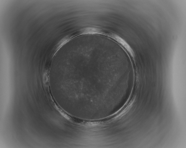 X0000113271385200909101510
