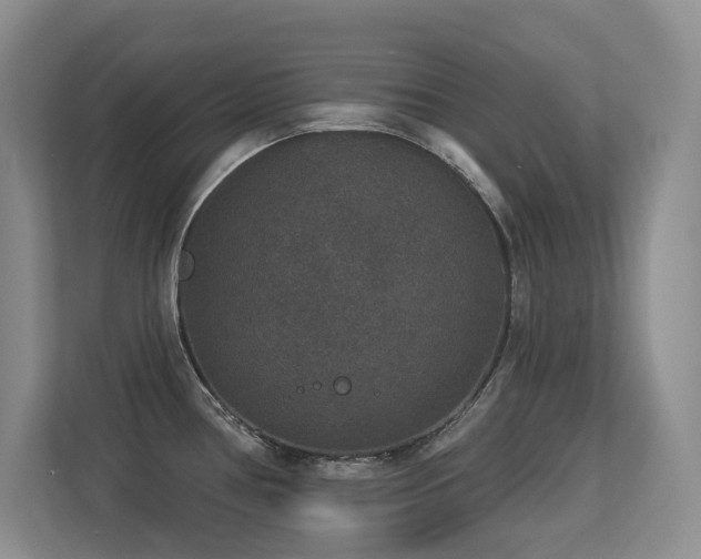 X0000113271386200909101510