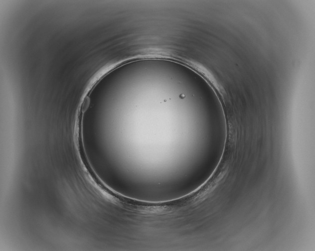 X0000113271387200909101510