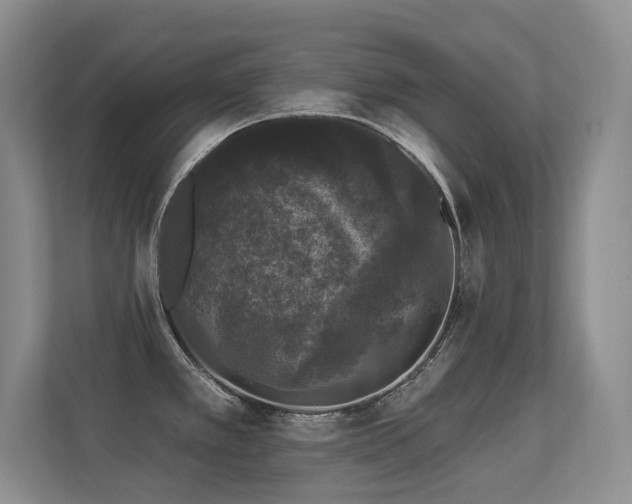 X0000113271389200909101510