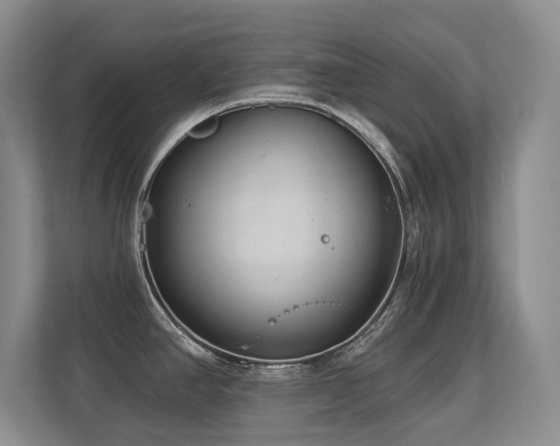 X0000113271390200909101510