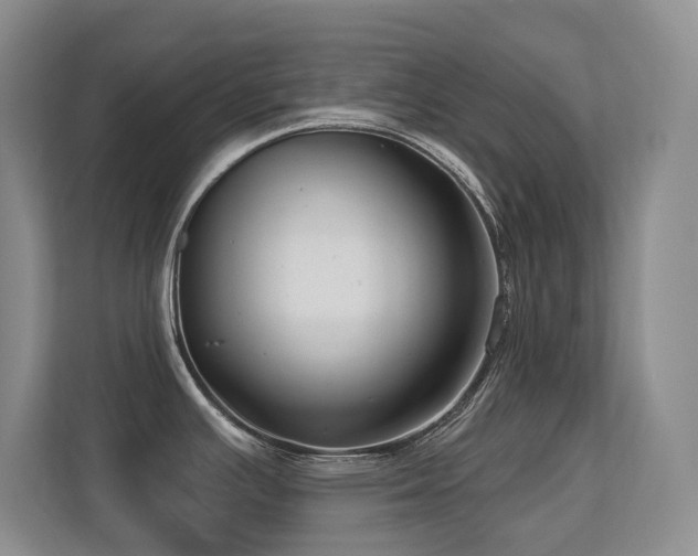X0000113271391200909101510