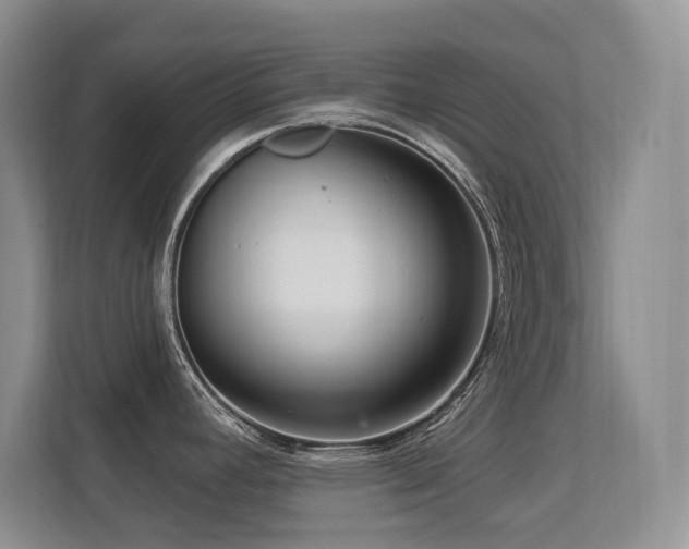 X0000113271392200909101510