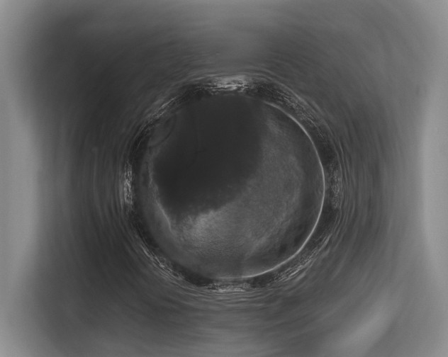 X0000113271394200909101509