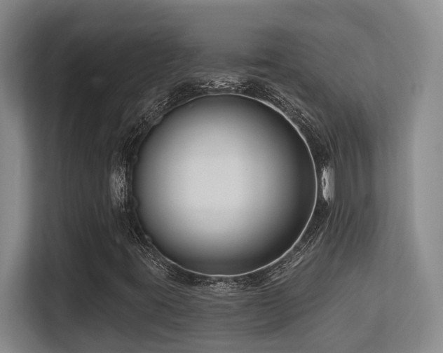 X0000113271395200909101510