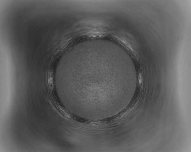 X0000113271396200909101510