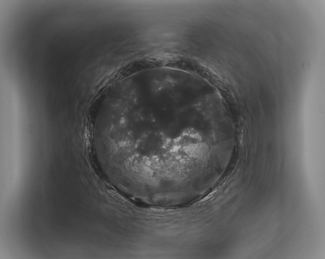 X0000113271397200909101510