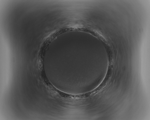X0000113271398200909101510