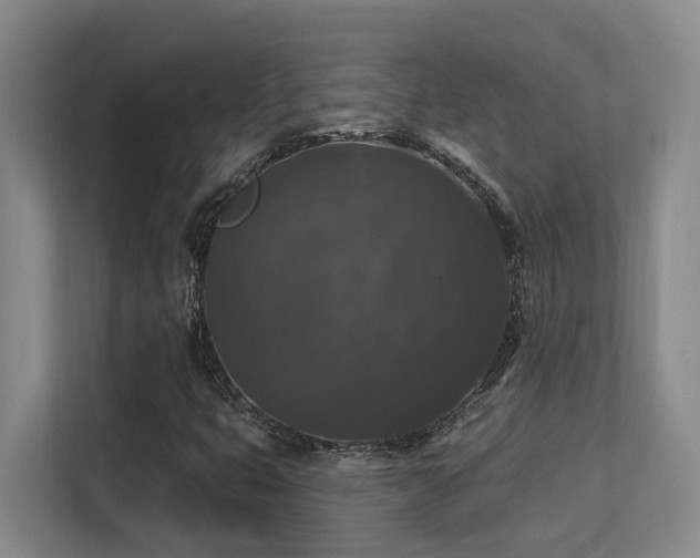 X0000113271399200909101510