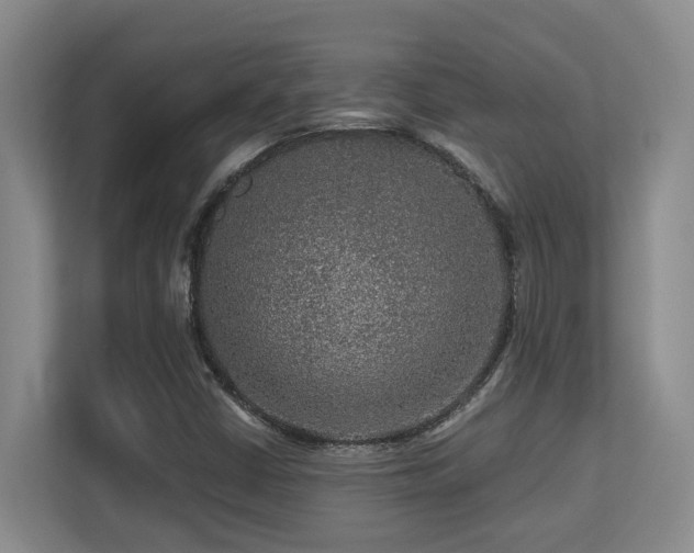 X0000113271402200909101510