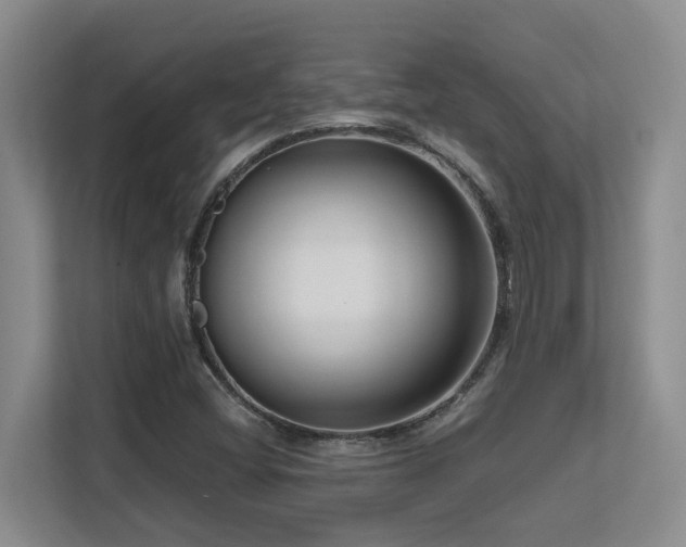 X0000113271404200909101510