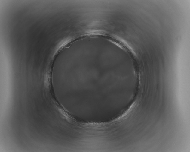 X0000113271405200909101510