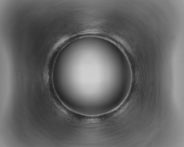 X0000113271406200909101510