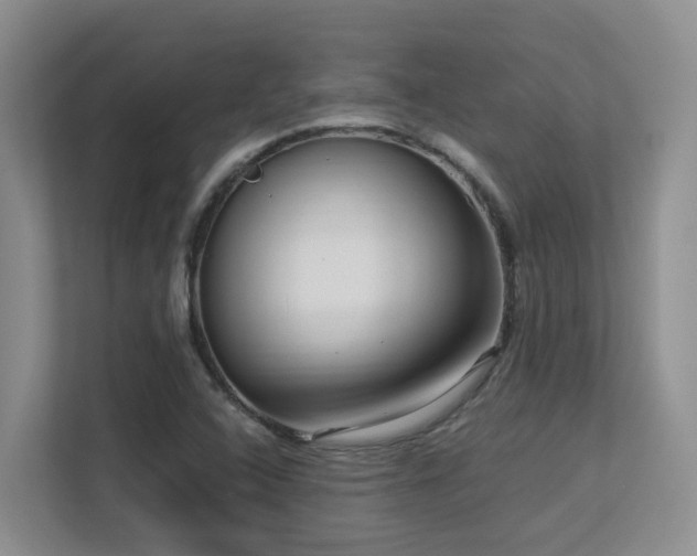 X0000113271408200909101510