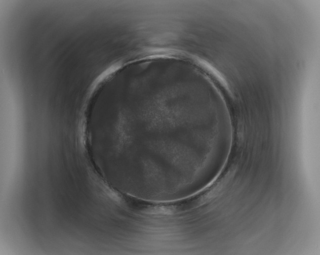 X0000113271411200909101510