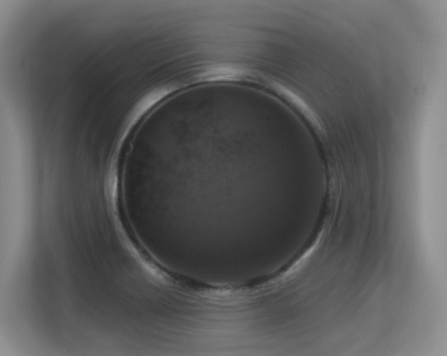 X0000113271418200909101510