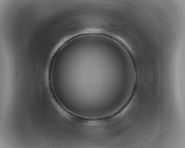 X0000113271422200909101510