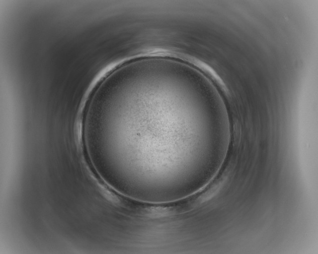 X0000113271424200909101510