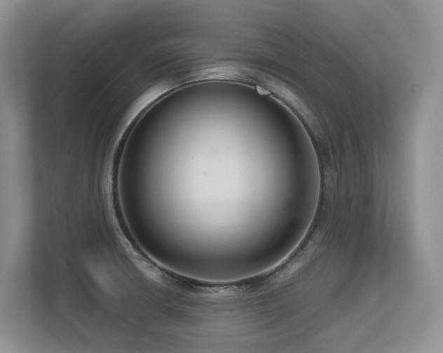 X0000113271426200909101510
