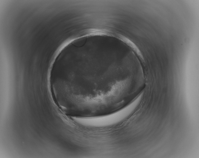 X0000113271427200909101510