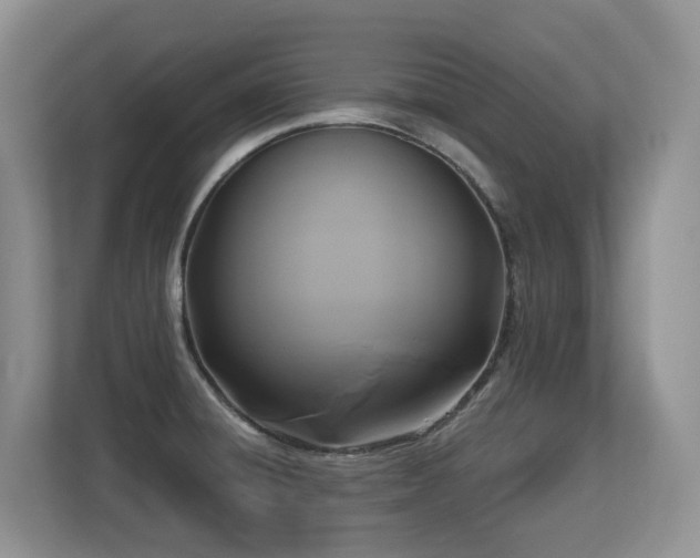 X0000113271428200909101510