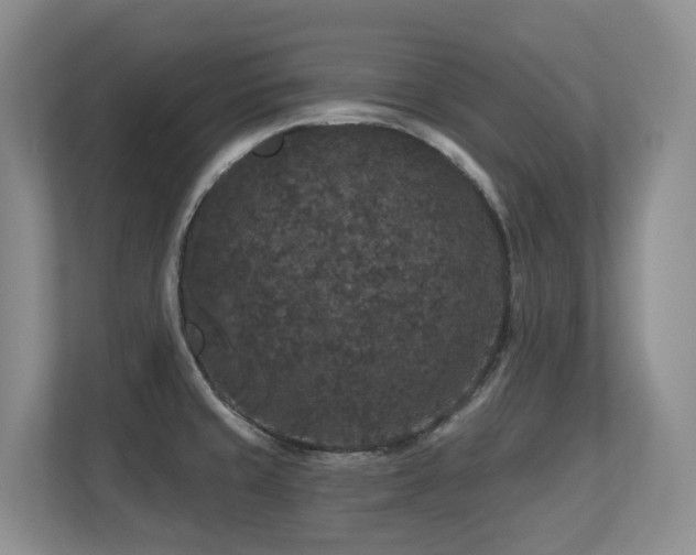 X0000113271429200909101510