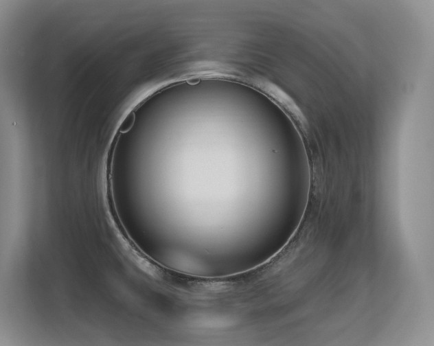 X0000113271431200909101510