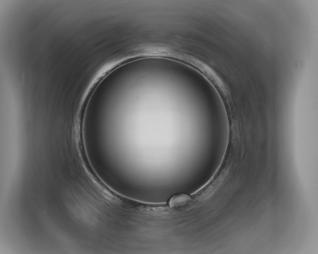 X0000113271432200909101510