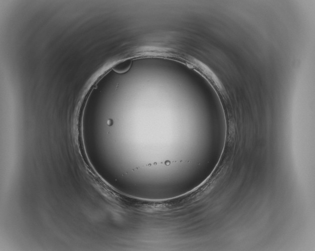 X0000113271435200909101510