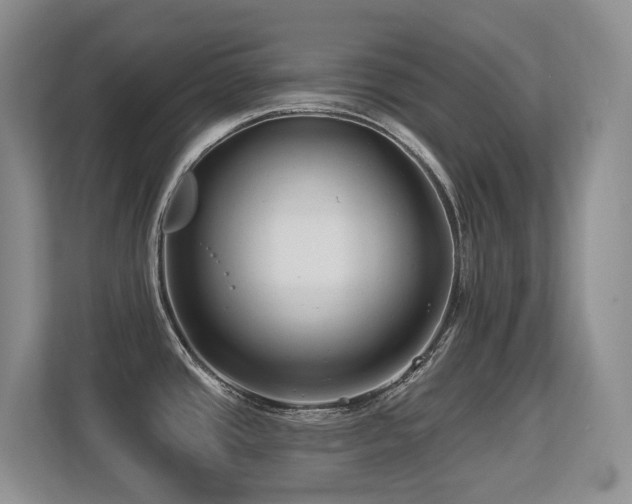 X0000113271437200909101510