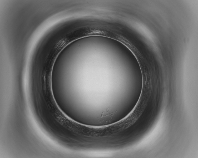 X0000113271439200909101510