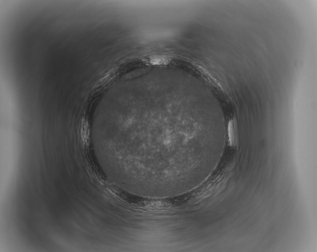 X0000113271443200909101509