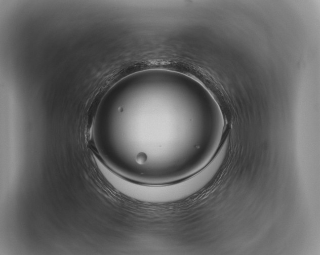 X0000113271444200909101509