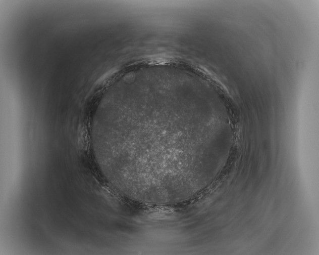 X0000113271446200909101509