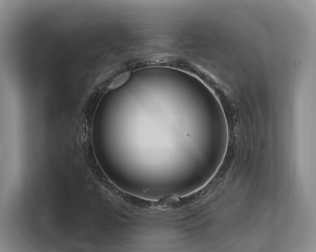 X0000113271447200909101509
