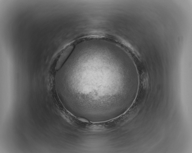 X0000113271448200909101509